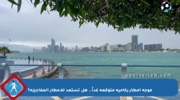 موجة أمطار ركامية متوقعة غداً.. هل تستعد للأمطار المفاجئة؟